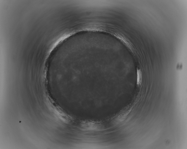 X0000090860723200707271228