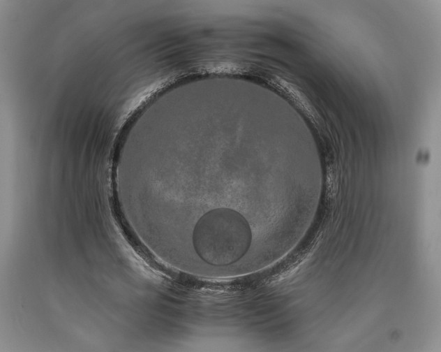 X0000090860725200707271228
