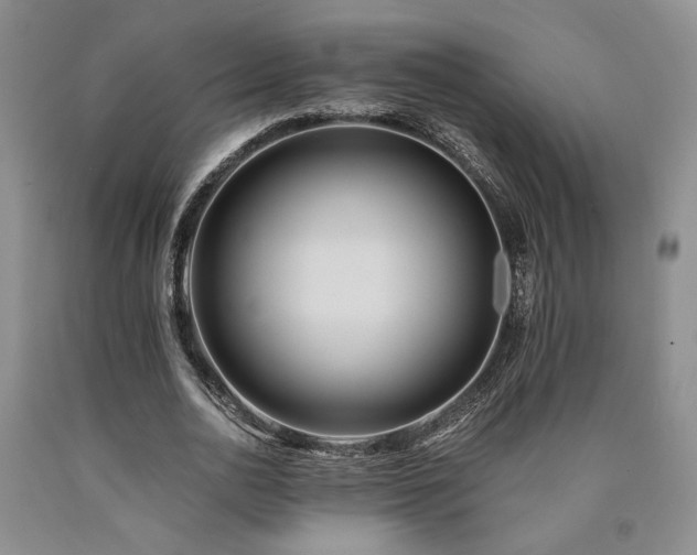 X0000090860726200707271228