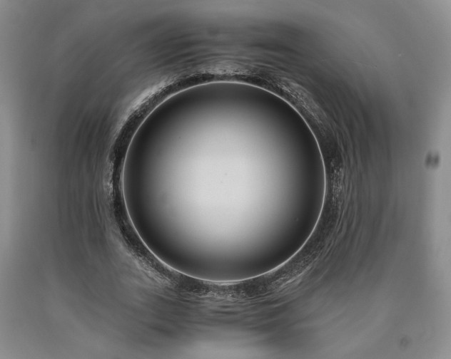 X0000090860727200707271228