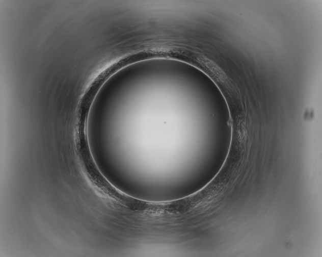 X0000090860728200707271228