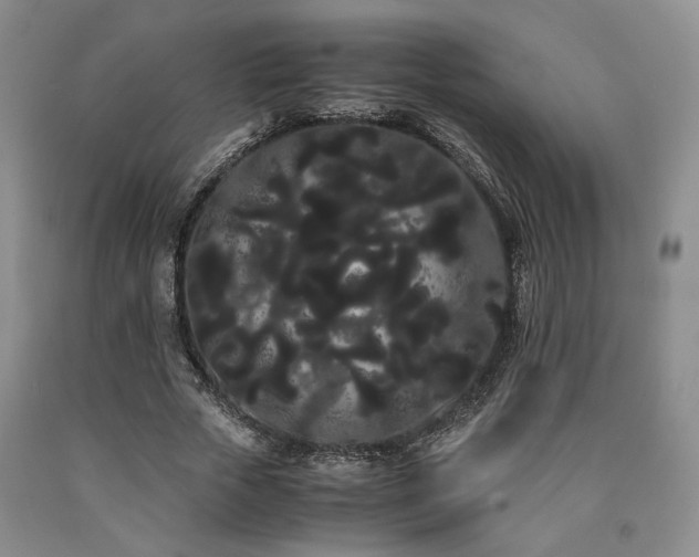 X0000090860729200707271228