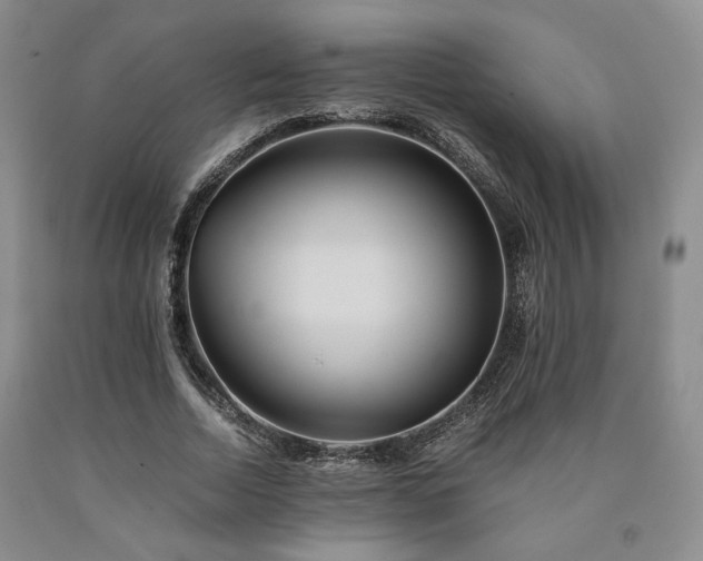 X0000090860730200707271228