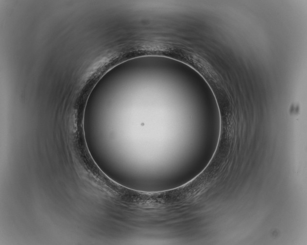 X0000090860731200707271228