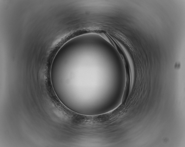 X0000090860732200707271228