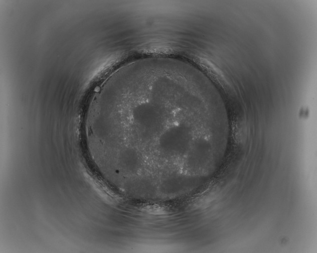 X0000090860735200707271228