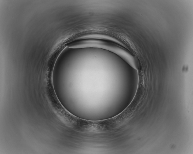X0000090860736200707271228