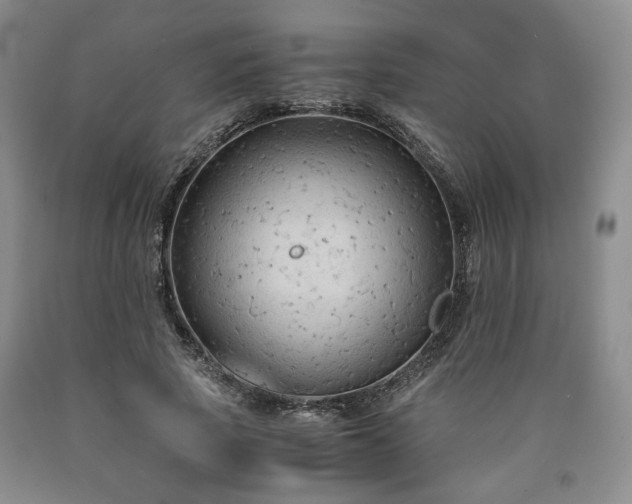 X0000090860737200707271228