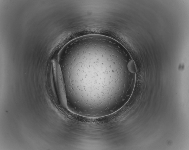X0000090860738200707271228