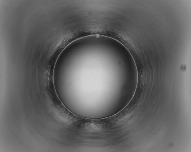 X0000090860739200707271228