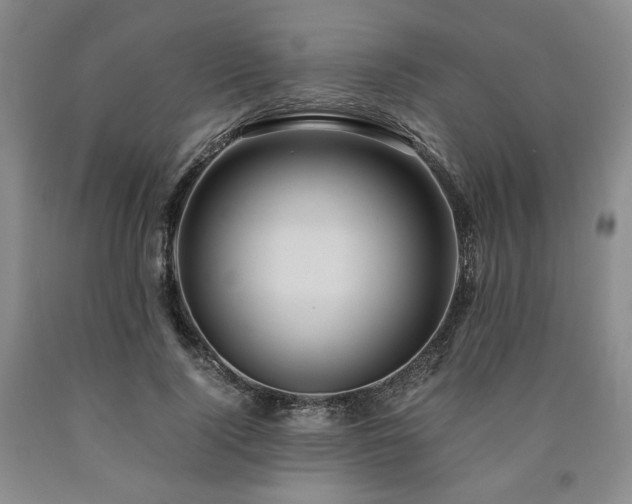 X0000090860740200707271228