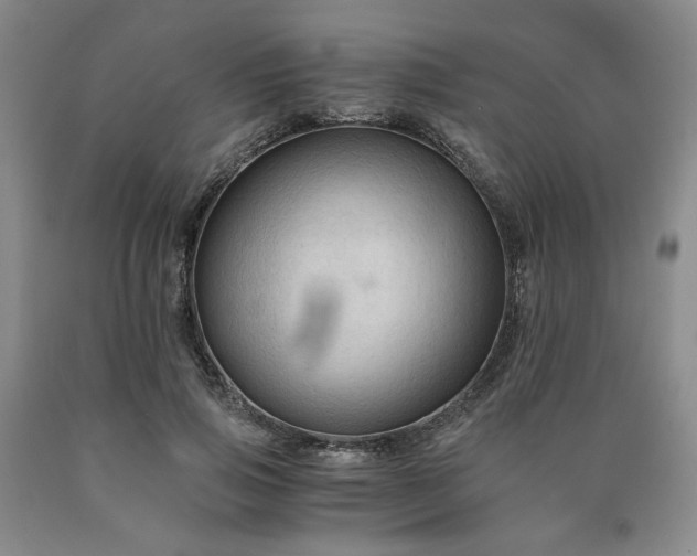 X0000090860741200707271228