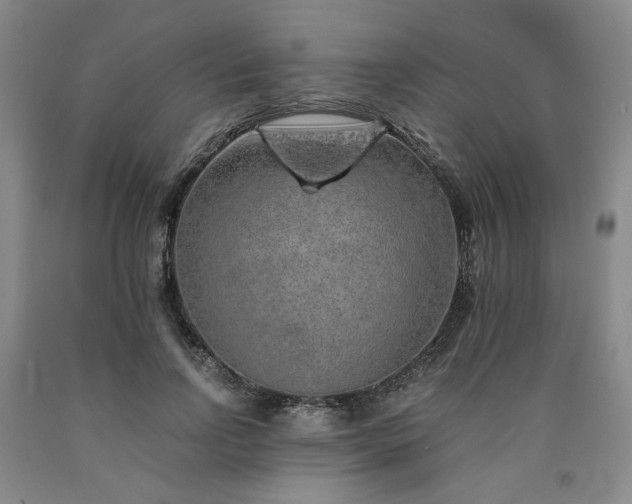 X0000090860742200707271228
