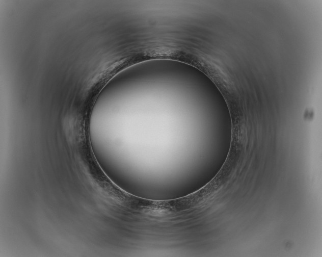 X0000090860743200707271228