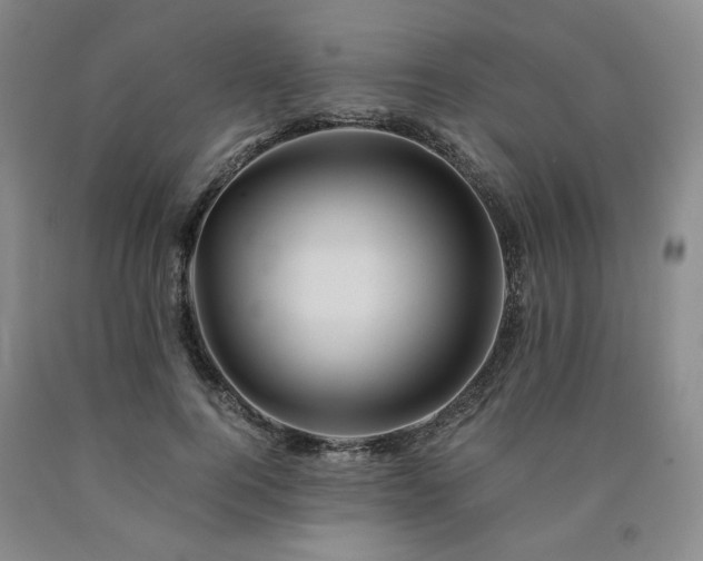 X0000090860744200707271228