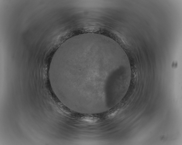 X0000090860745200707271228