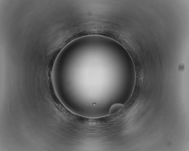 X0000090860746200707271228