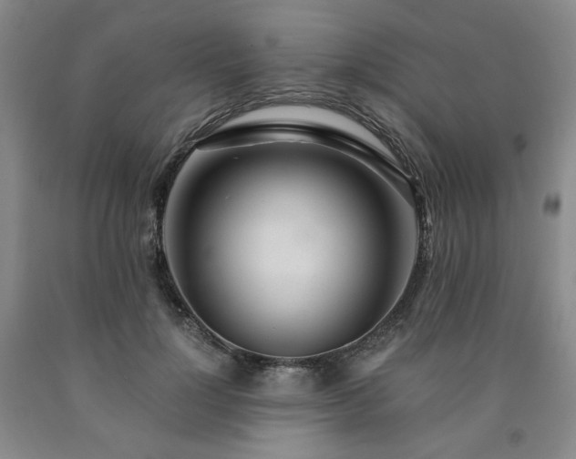 X0000090860748200707271228