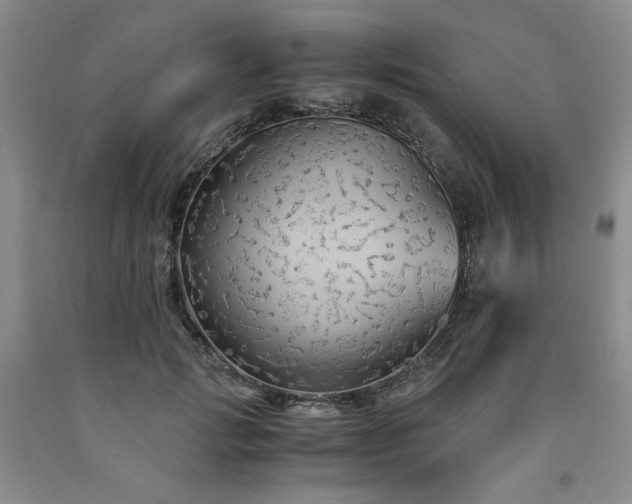 X0000090860749200707271228