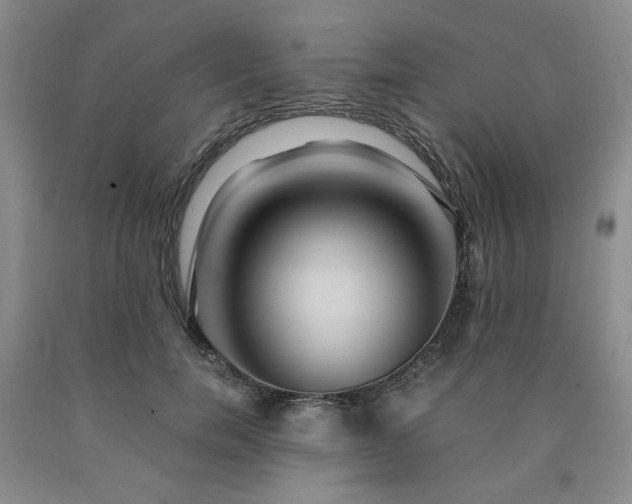 X0000090860750200707271228