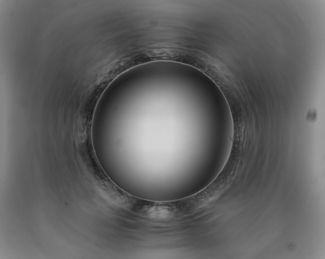 X0000090860751200707271228