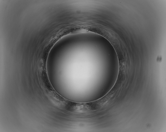 X0000090860752200707271228