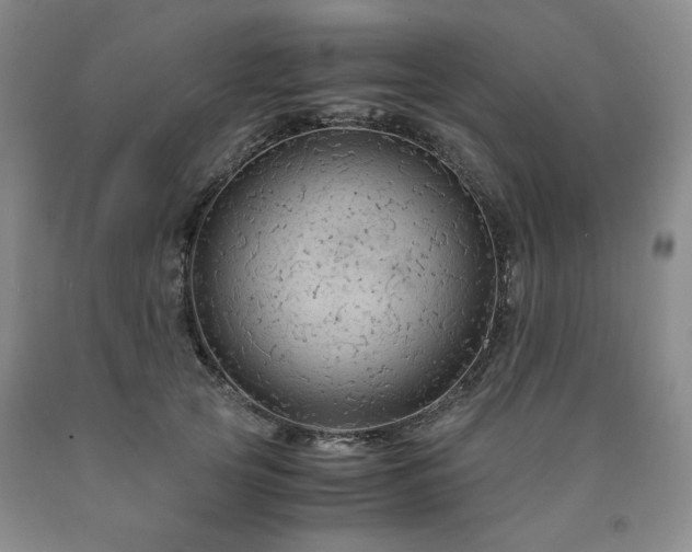 X0000090860753200707271228