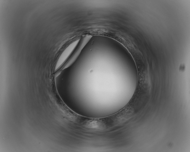 X0000090860755200707271228