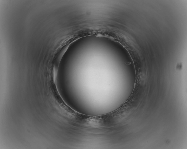 X0000090860756200707271228