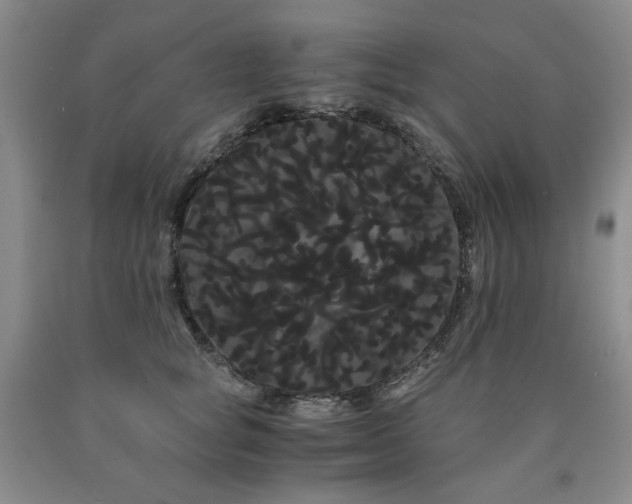 X0000090860757200707271228
