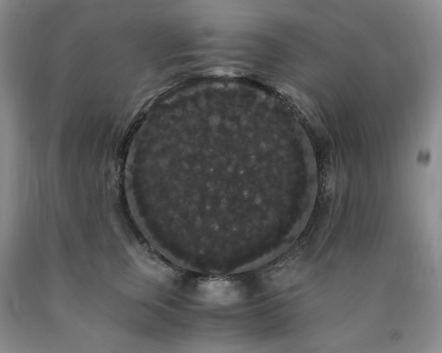 X0000090860759200707271228