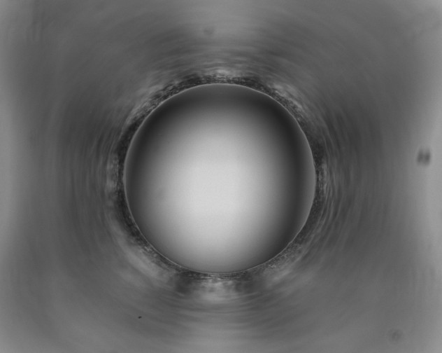 X0000090860760200707271228