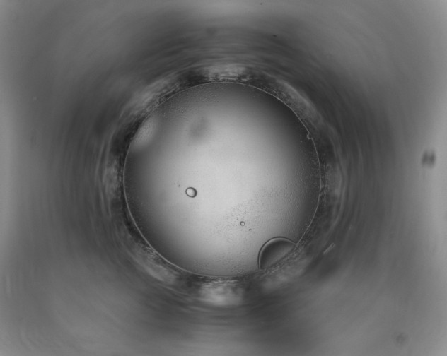X0000090860761200707271228