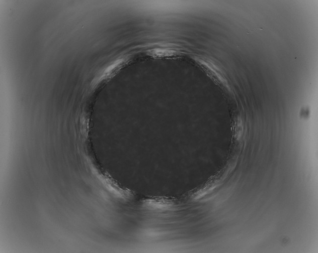 X0000090860763200707271228