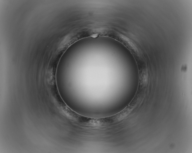 X0000090860764200707271228