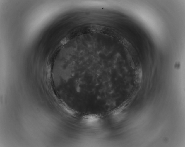 X0000090860765200707271228