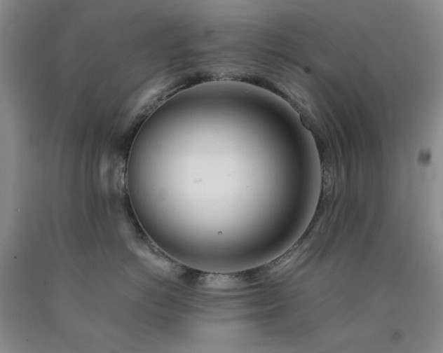X0000090860766200707271228