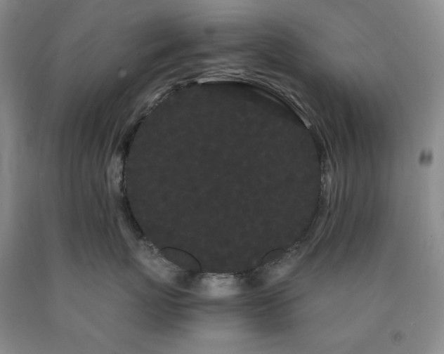 X0000090860767200707271228