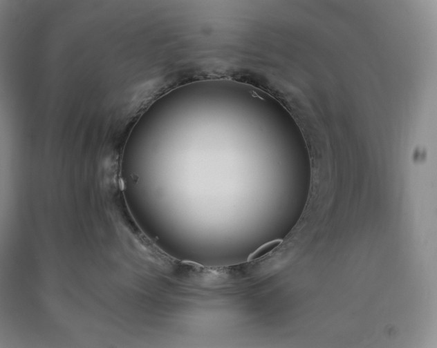 X0000090860768200707271228