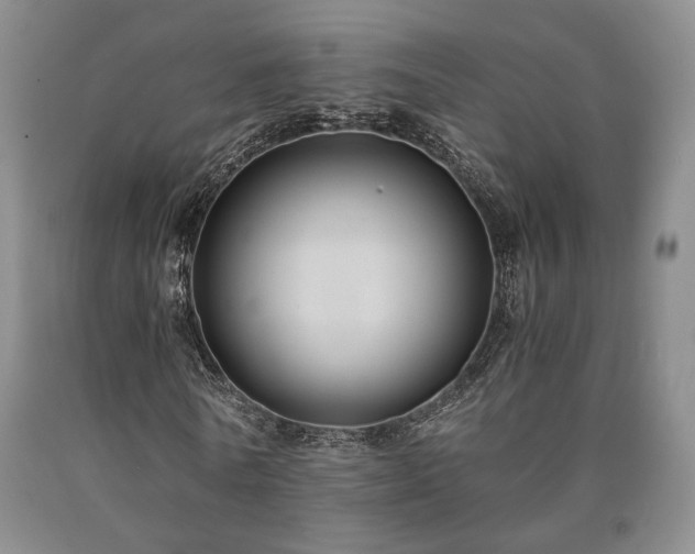 X0000090860770200707271227
