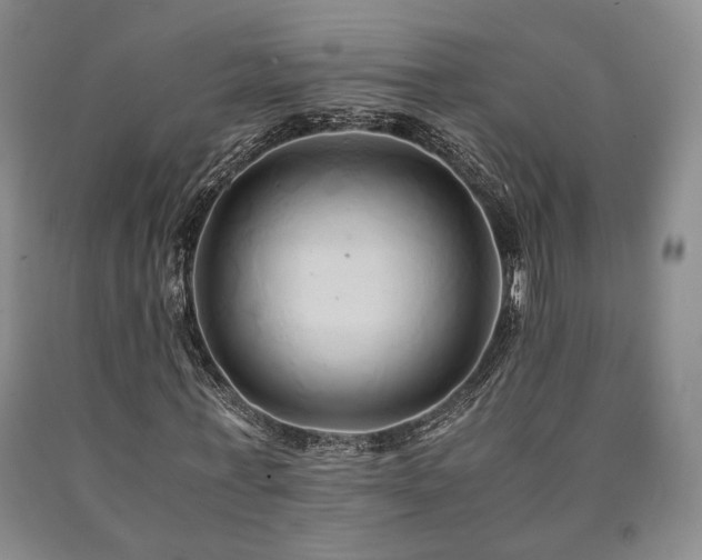 X0000090860771200707271227