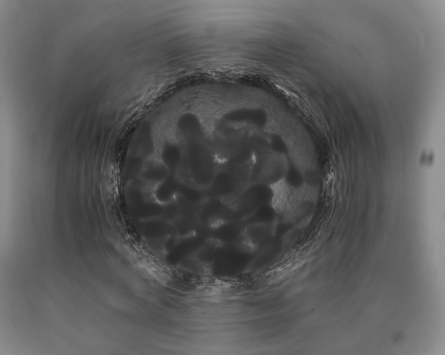 X0000090860772200707271227