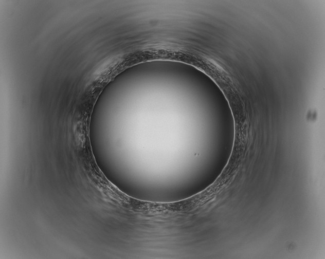 X0000090860774200707271227