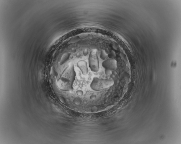 X0000090860775200707271227