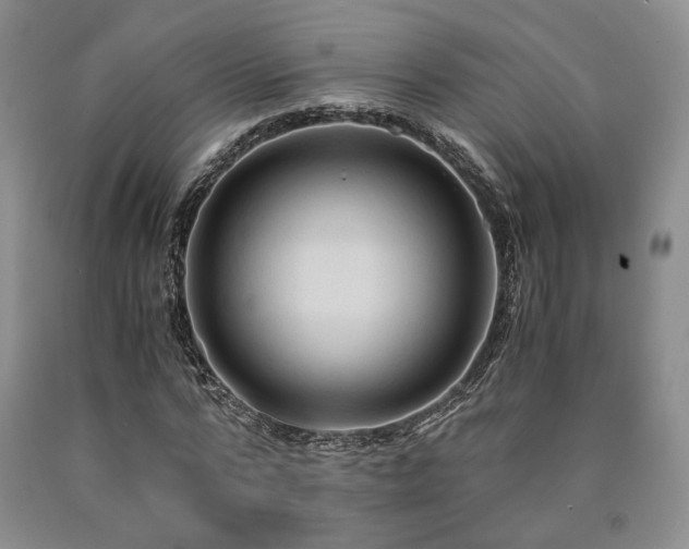 X0000090860776200707271227