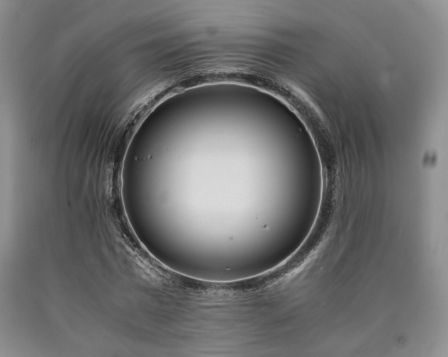 X0000090860777200707271227