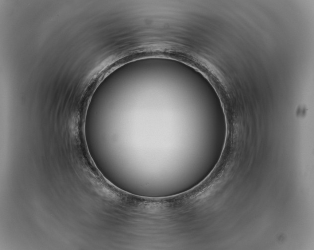 X0000090860778200707271227