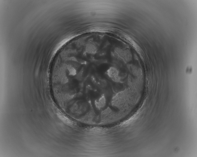 X0000090860779200707271227