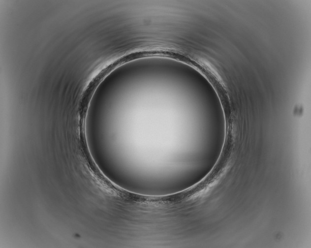 X0000090860781200707271227