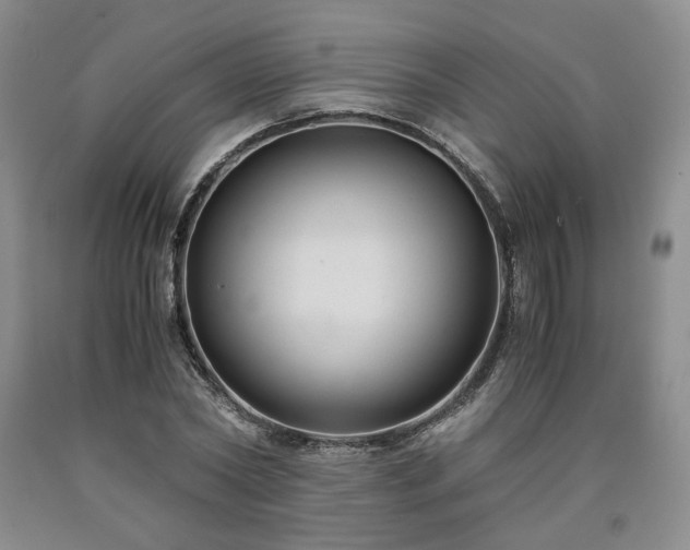 X0000090860782200707271227